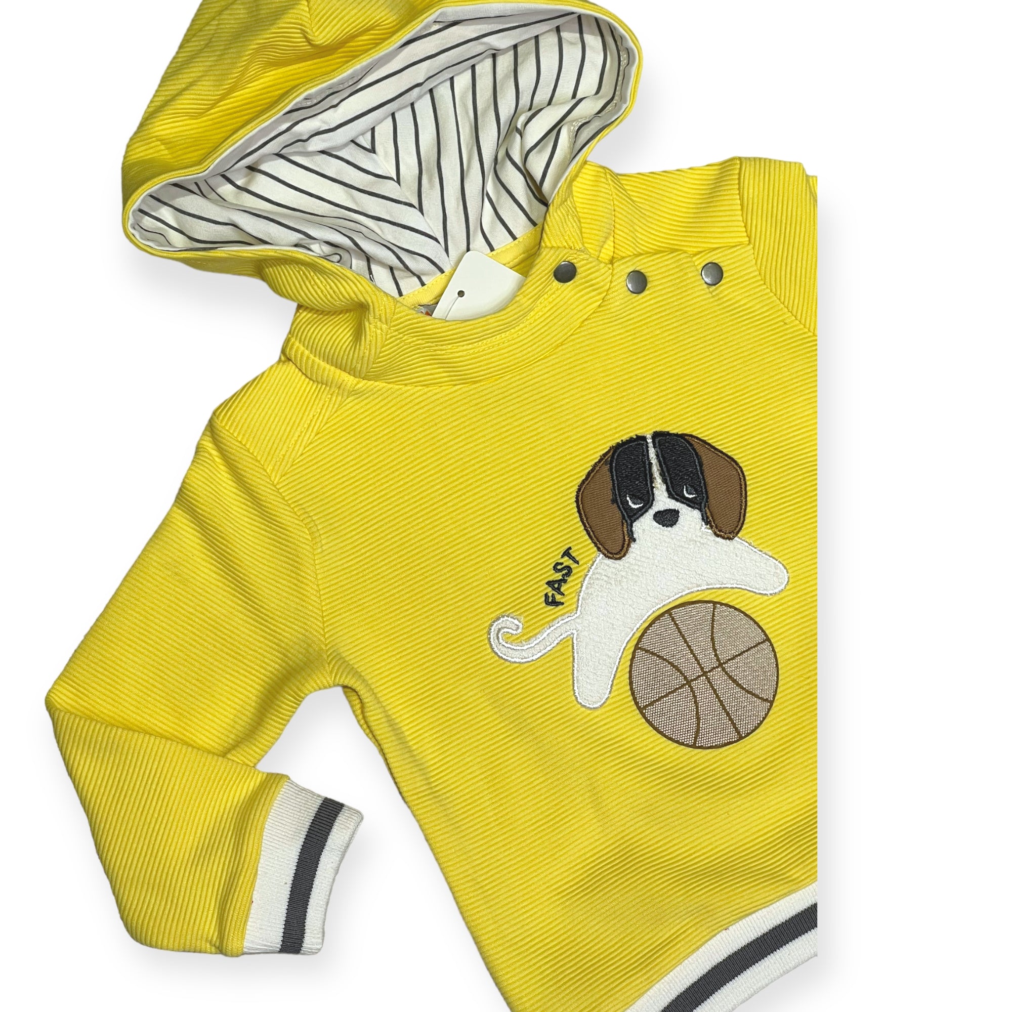 Puppy yellow set